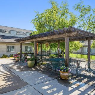 A sunny outdoor patio area with a pergola and potted plants, providing shaded seating next to a building.