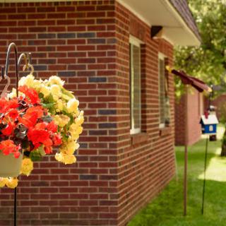 A vibrant display of flowers hangs beside a brick house, complemented by a birdhouse in the garden.