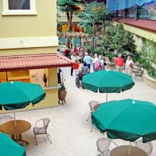 A lively courtyard with green umbrellas over tables, where people gather for conversation and relaxation.
