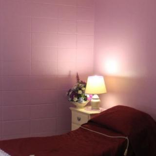 A cozy bedroom corner with a lamp and flowers on the nightstand against a purple wall.