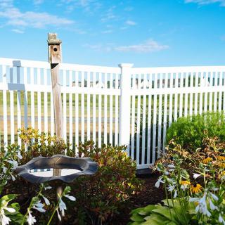 A garden with a birdhouse and white fence surrounded by flowers on a sunny day.