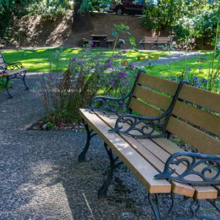 A tranquil park scene featuring wooden benches surrounded by lush greenery.