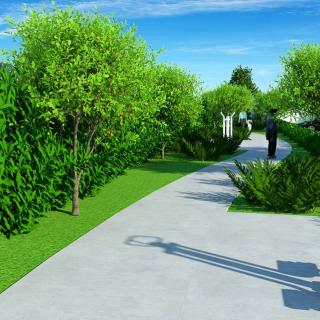 A scenic pathway surrounded by lush greenery and trees.