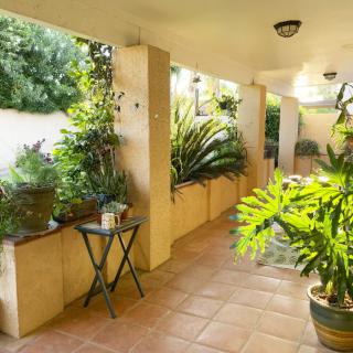 A sunlit patio adorned with a variety of potted plants creating a serene indoor garden atmosphere.