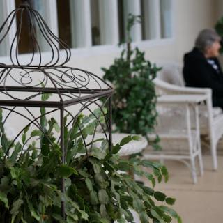 A tranquil indoor setting featuring hanging plants and a comfortable seating area.