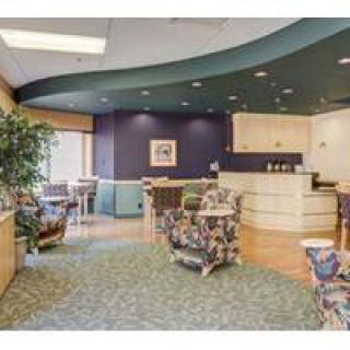 A modern waiting room with comfortable seating and decorative plants.