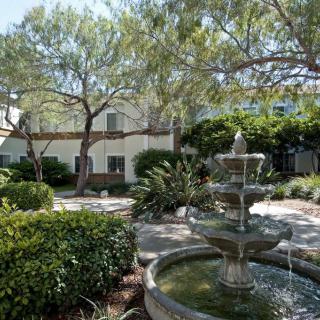 A serene garden with a fountain surrounded by lush greenery and buildings.