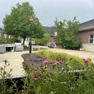 A serene garden pathway lined with vibrant flowers and greenery, set against a cloudy backdrop.