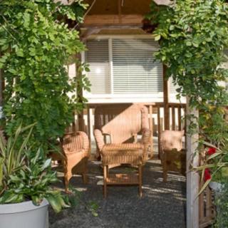 A cozy porch with wooden chairs surrounded by lush greenery.