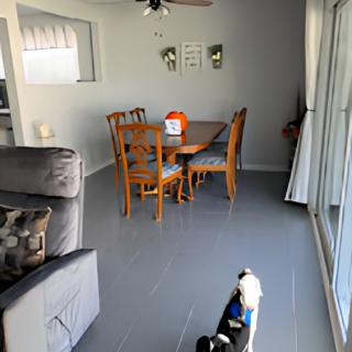 A living space featuring a dining table set, ceiling fan, and a small dog facing a sliding glass door.