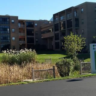 A view of a residential building surrounded by greenery.