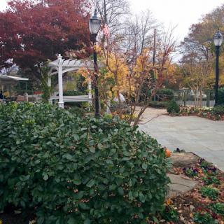 A serene autumn scene in a park, showcasing colorful foliage and a winding pathway.