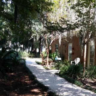 A serene garden pathway shaded by trees.