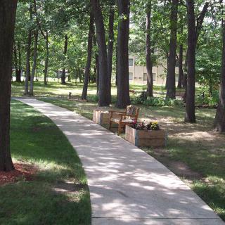 A peaceful park scene featuring a winding concrete pathway lined with trees and benches.