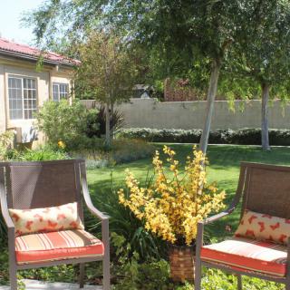 A tranquil backyard garden with comfortable outdoor seating and lush greenery.