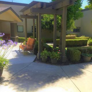 A sunny garden area featuring a pergola surrounded by lush greenery and colorful flowers.