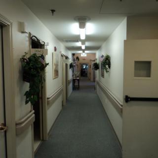 A well-lit hallway with doors and decorative plants on the walls.