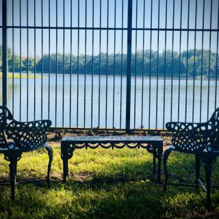 Two ornate benches facing a tranquil lake behind a fence.