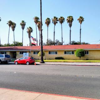 A colorful building with palm trees lining the background, captured under a clear blue sky.