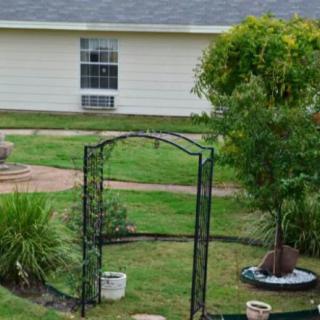A backyard garden featuring an archway, green grass, and various plants with a house in the background.
