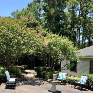 A sunny garden patio with seating and a pathway surrounded by lush trees.