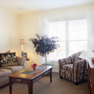 A cozy living room setup featuring a comfortable sofa, an armchair, and natural light streaming through the window.