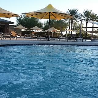 A serene poolside view featuring umbrellas and palm trees, perfect for relaxation.