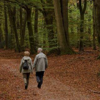 A couple walking through a forest covered in autumn leaves.