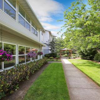 A peaceful garden with a lush green lawn and a pathway beside a building.