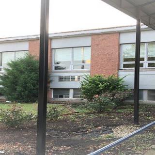 A school building with brick walls, several windows, and surrounding bushes.