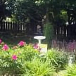 A garden filled with colorful flowers and a white birdbath.