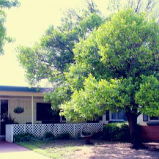A charming house with a lush green tree in the front yard.