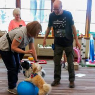 People engaging in indoor dog training activities with exercise equipment.