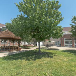 A picturesque outdoor scene featuring a lush green tree, adjacent gazebo, and nearby building under a clear blue sky.