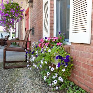 A charming outdoor space adorned with vibrant flowers and a simple wooden bench.