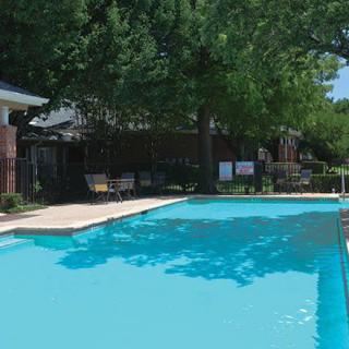 A serene outdoor swimming pool surrounded by trees, perfect for a relaxing summer day.