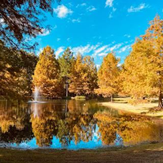 A serene autumn scene with vibrant trees reflecting off a calm lake under a bright blue sky.