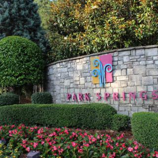 Entrance sign of Park Springs surrounded by beautifully landscaped flowers and greenery.