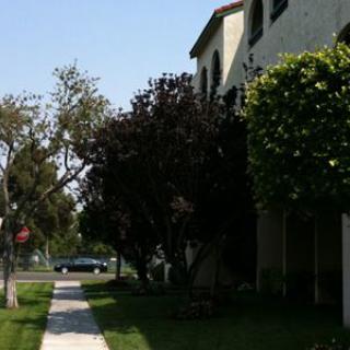 A suburban street with a sidewalk lined with trees and adjacent residential buildings during the day.