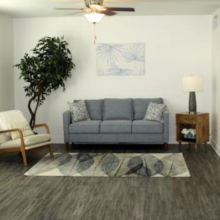 A cozy and modern living room setup featuring a gray couch, an armchair, and a decorative plant.