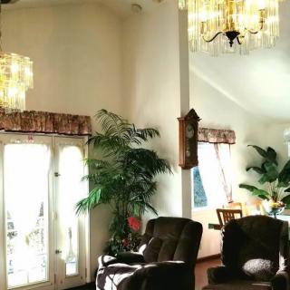 A well-lit living room featuring chandeliers, armchairs, indoor plants, and a grandfather clock.