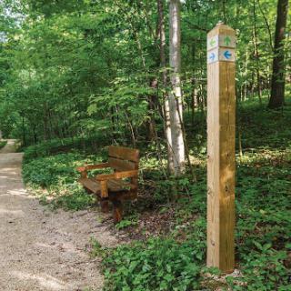 A wooden signpost stands beside a rustic bench along a serene forest trail.