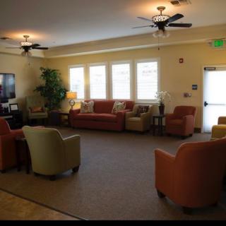 A cozy living room with sofas, chairs, and ceiling fans creating a comfortable lounge area.