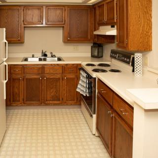 A kitchen with wooden cabinets, a stovetop, and a fridge.