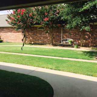 A peaceful garden with a well-maintained lawn, brick walls, and vibrant trees.
