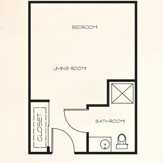 Studio apartment floor plan with combined living and bedroom area, a bathroom, and a closet.
