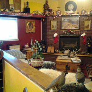 A cozy living room with holiday decorations and a fireplace, featuring quails near a plant.