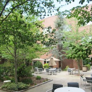 A serene courtyard filled with lush greenery and outdoor seating for relaxation.