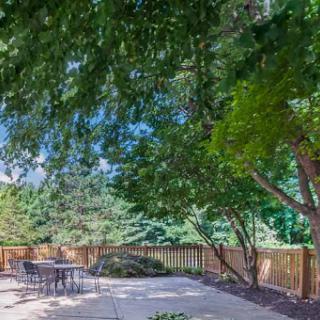 A serene outdoor patio surrounded by lush greenery and trees, perfect for relaxation.