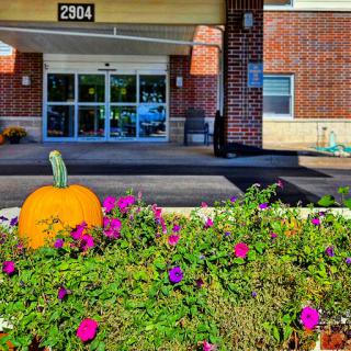 A welcoming entrance adorned with vibrant flowers and a pumpkin, signaling the arrival of autumn.